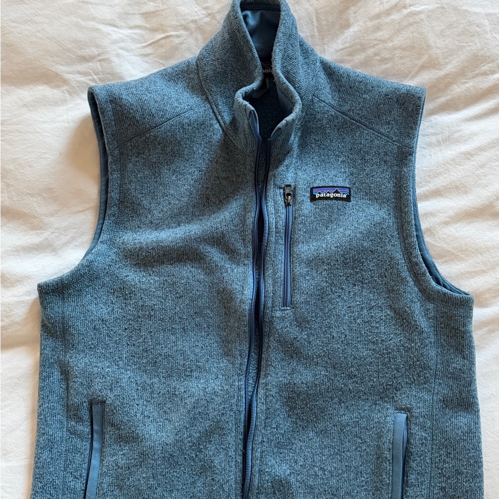Patagonia Men's Heathered Blue Vest